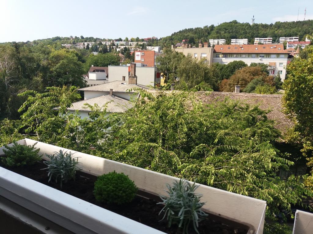 Malnas Macska Apartman Szekszard Exterior photo